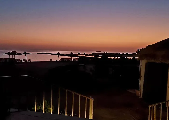 Turtles Al Ahyaa * الغردقة