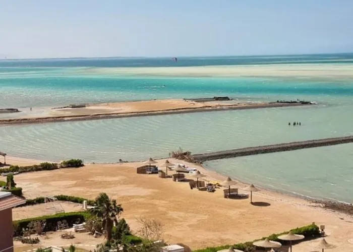 Turtles Al Ahyaa الغردقة