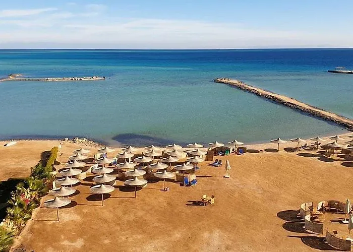 Turtles Al Ahyaa الغردقة